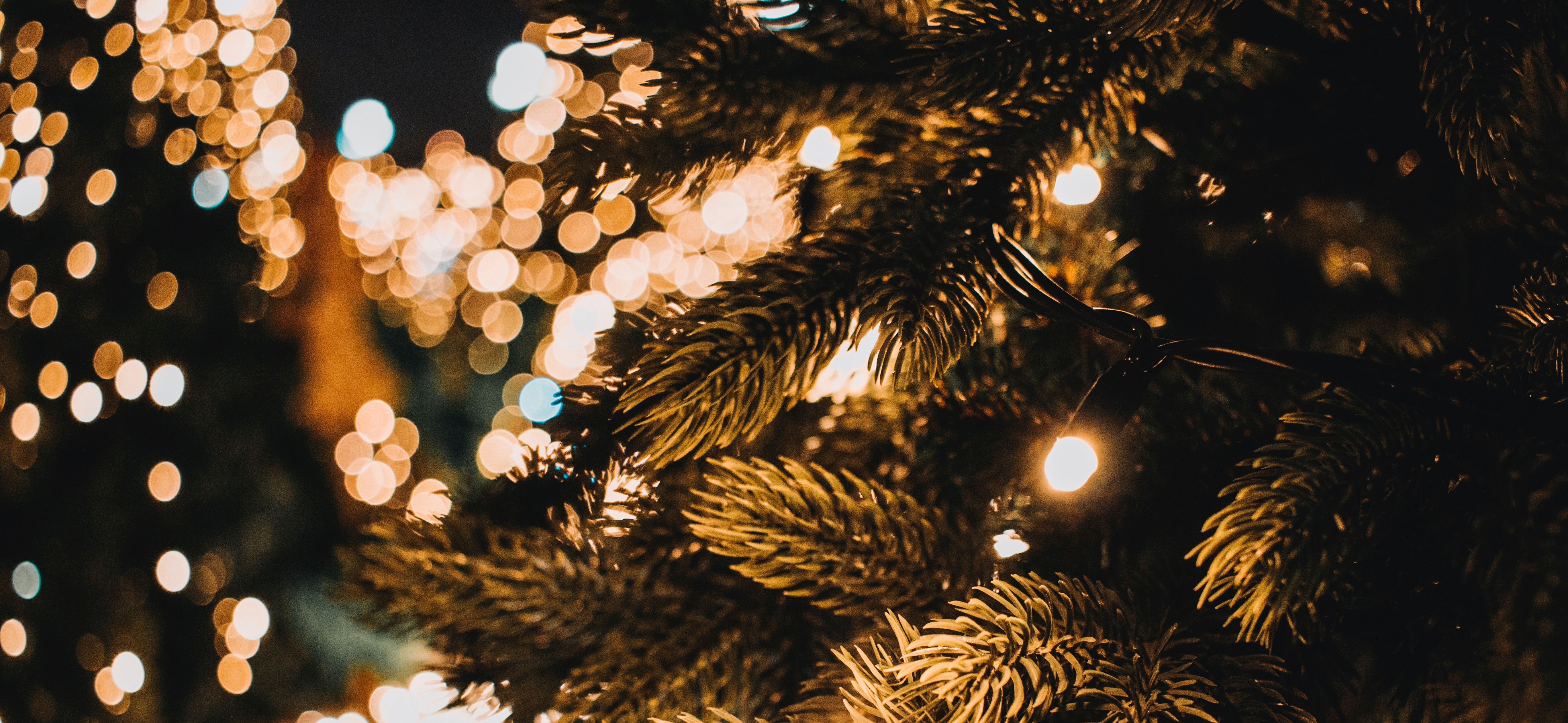 A christmas tree with lights